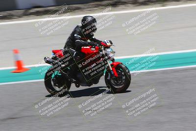 media/Jun-24-2022-TrackDaz (Fri) [[aa6850b51f]]/Group B/1245pm (Front Straight)/